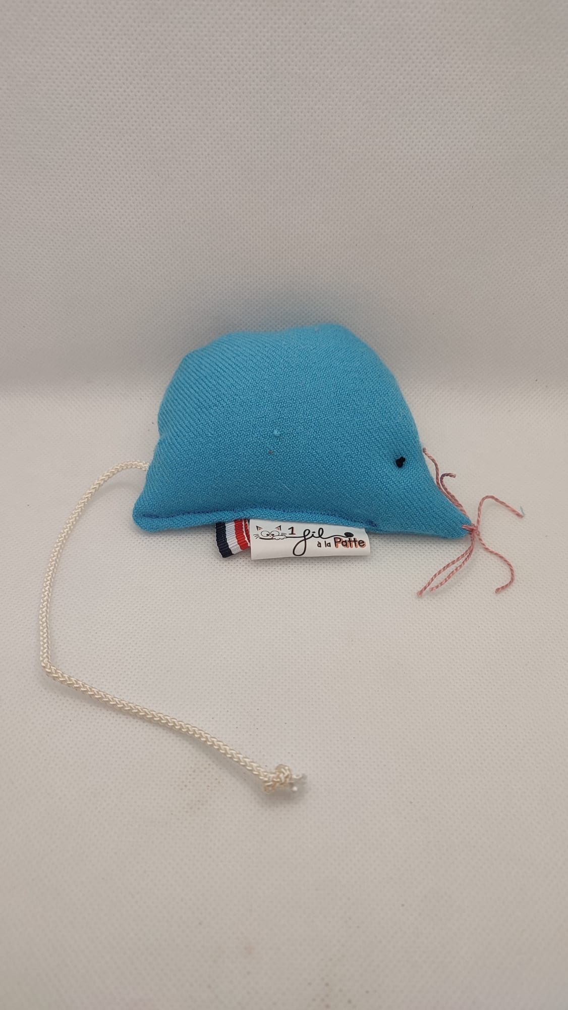 souris bleue (2)