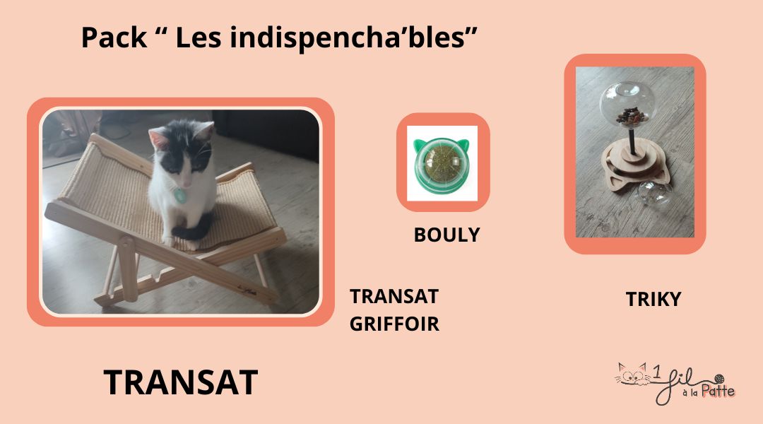 PACK INDISPENCHABLES
