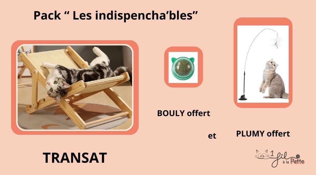 J'achète le Pack "Les indispencha'bles"