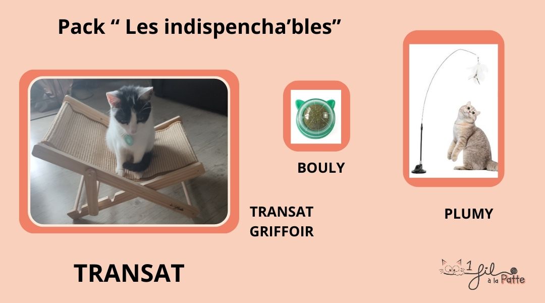 Pack les indispencha'bles