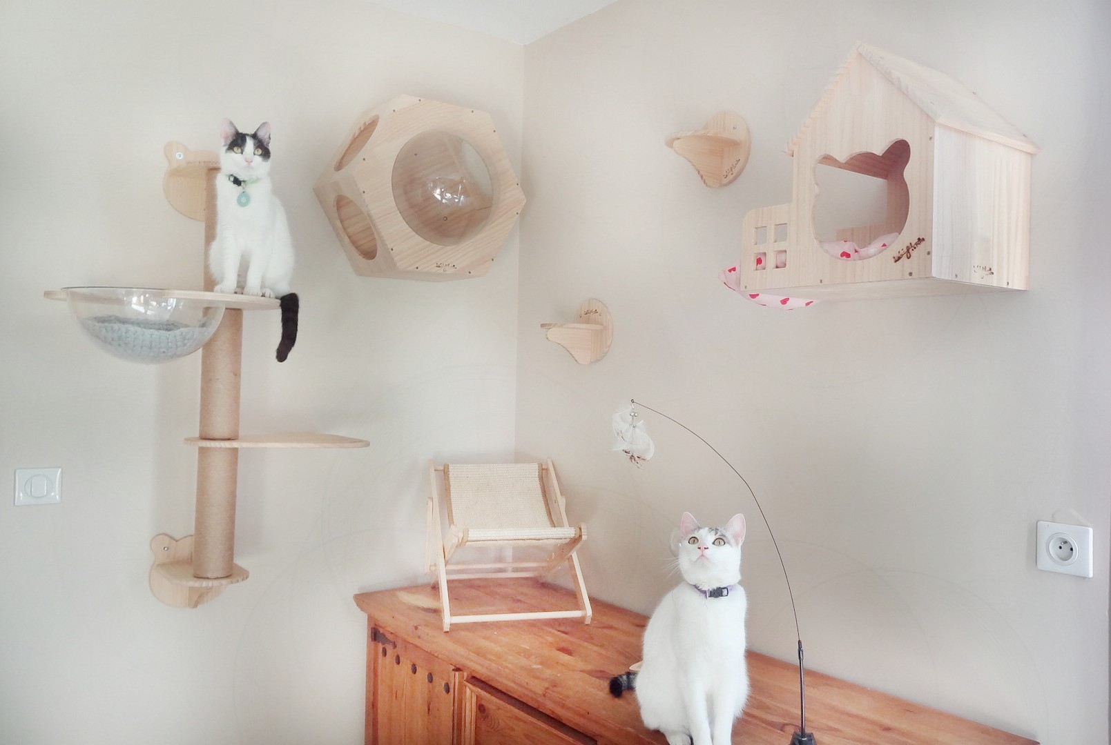 parcour mural avec les chats corrige