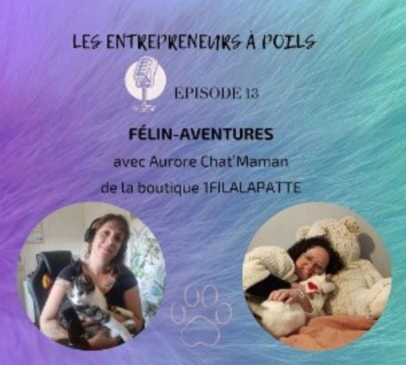 Les entrepreneurs à poils et 1filalapatte podcast