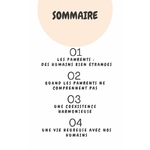 sommaire ebook