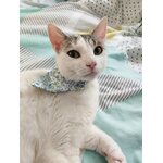 Bandana à fleurs bleues Looky pour chat