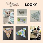 Collection Looky de printemps : bandanas et nœuds papillons pour chat