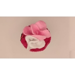 GATEAU CYL FRAMBOISE