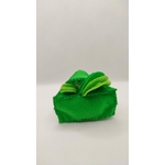 GATEAU KIWI (5)
