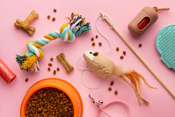 jouets pour chat d interieur_2