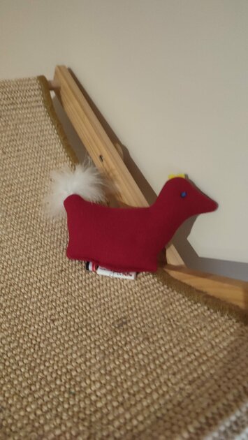 poulette rouge plumes blanches 1