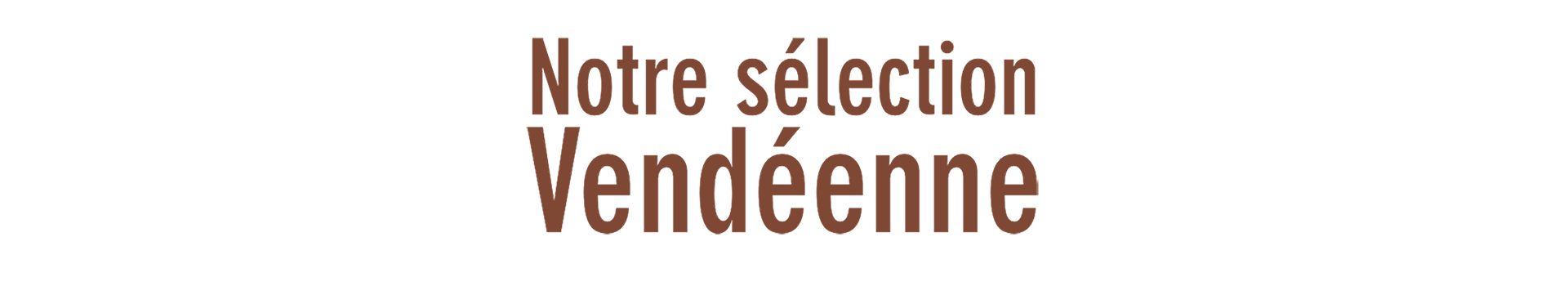 bandeau selection vendeenne 1900 x 345