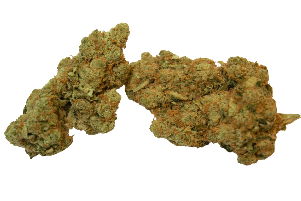 white_widow_hydro_-removebg-preview