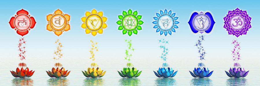 7 chakras du corps