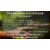 Programme _Lumain