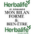 bilan forme et bien etre
