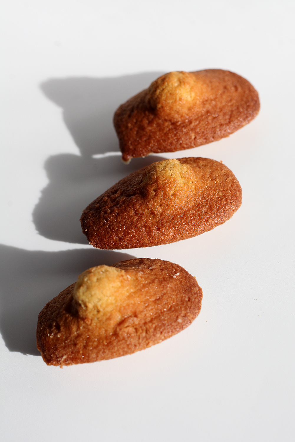 madeleines x 3