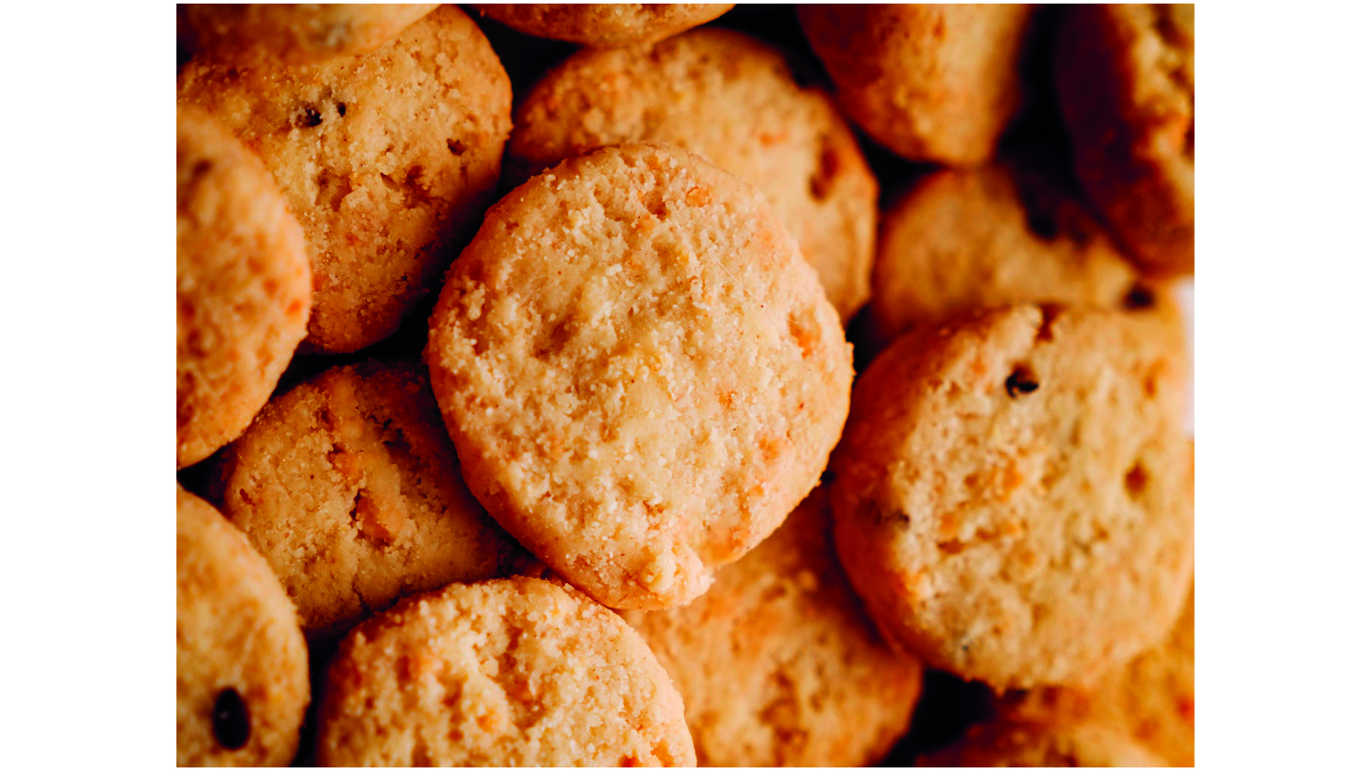 biscuit