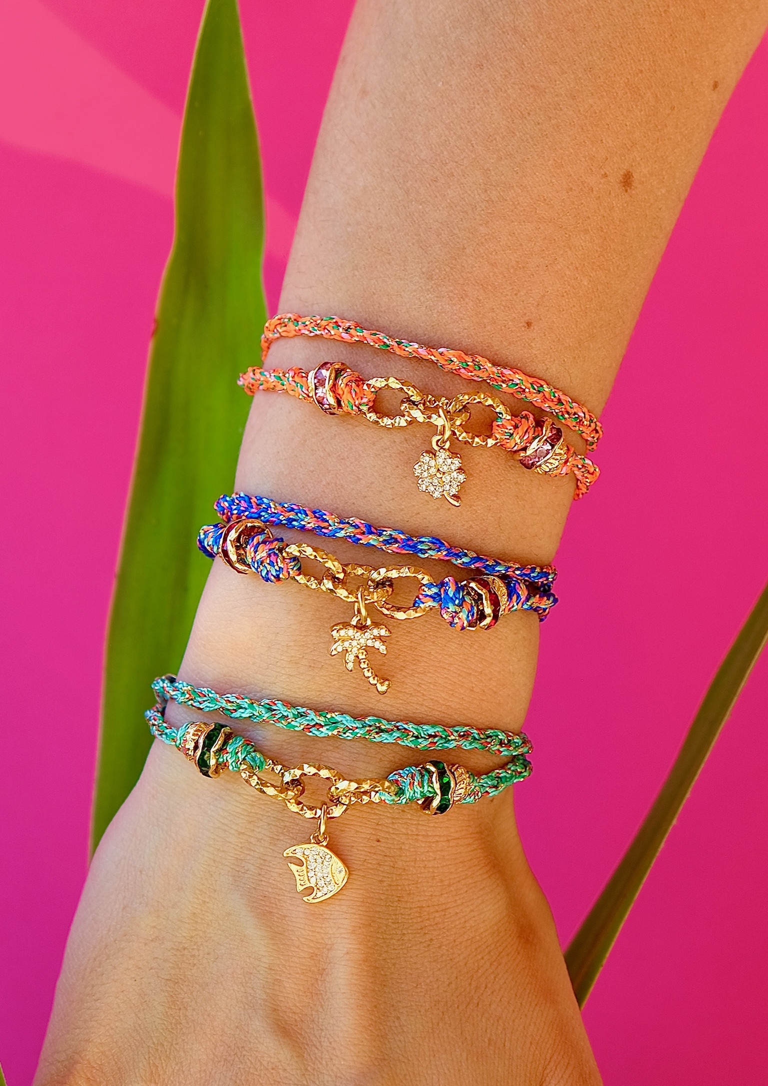 DSCF6320