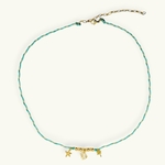 CELADON BIARRITZ2