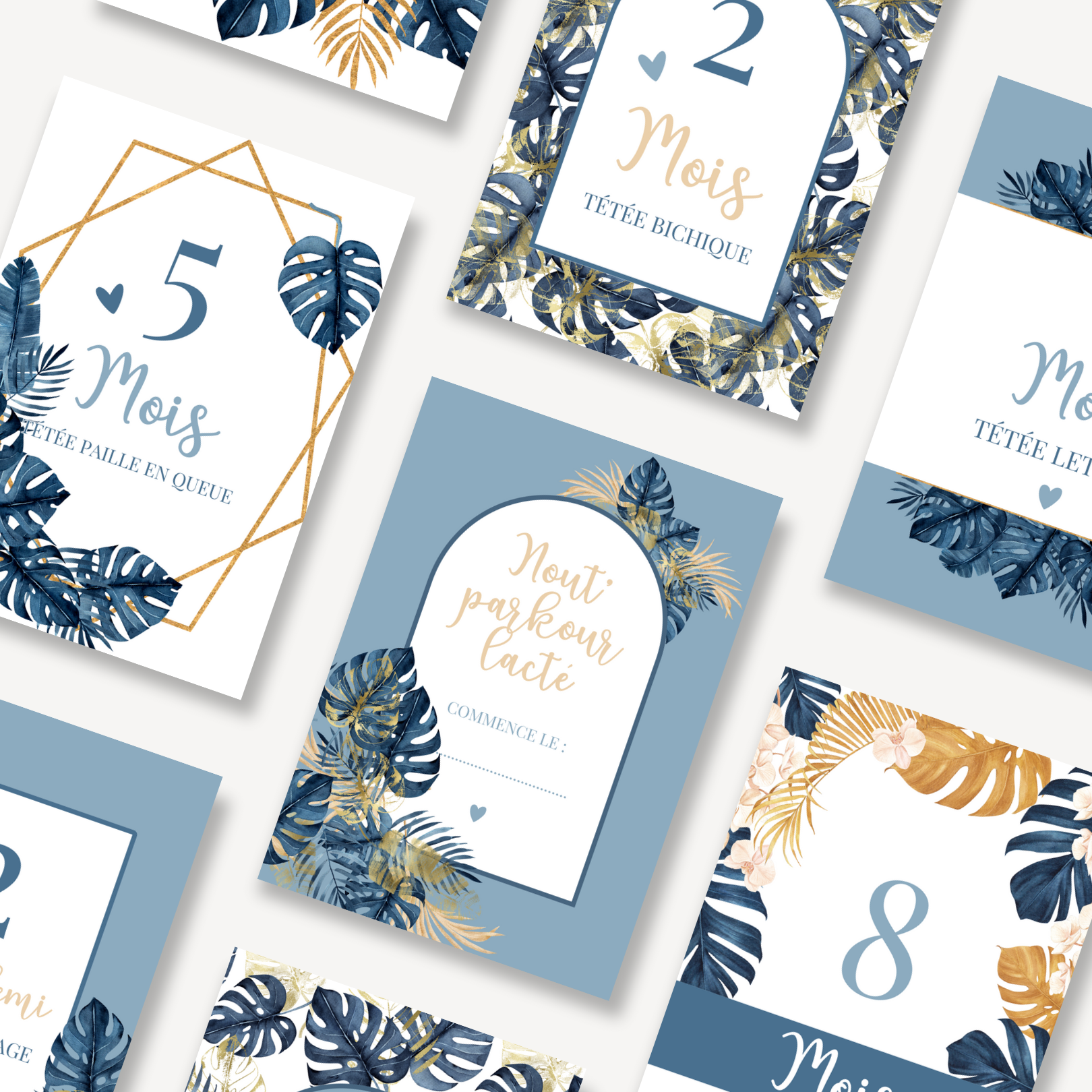 Cartes étapes blue tropics