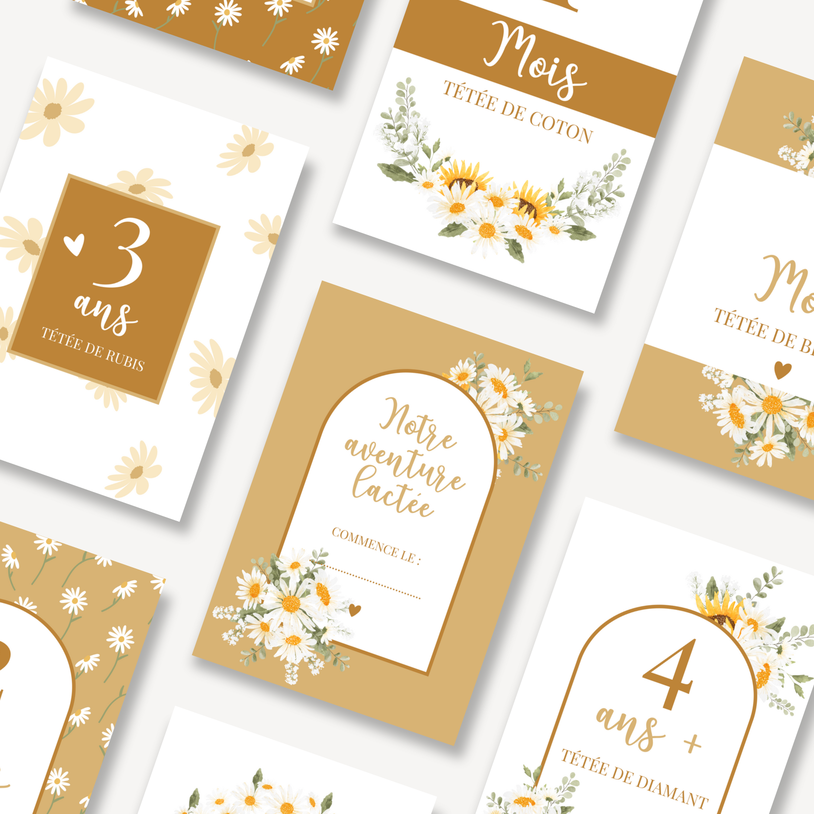 Cartes étapes marguerite