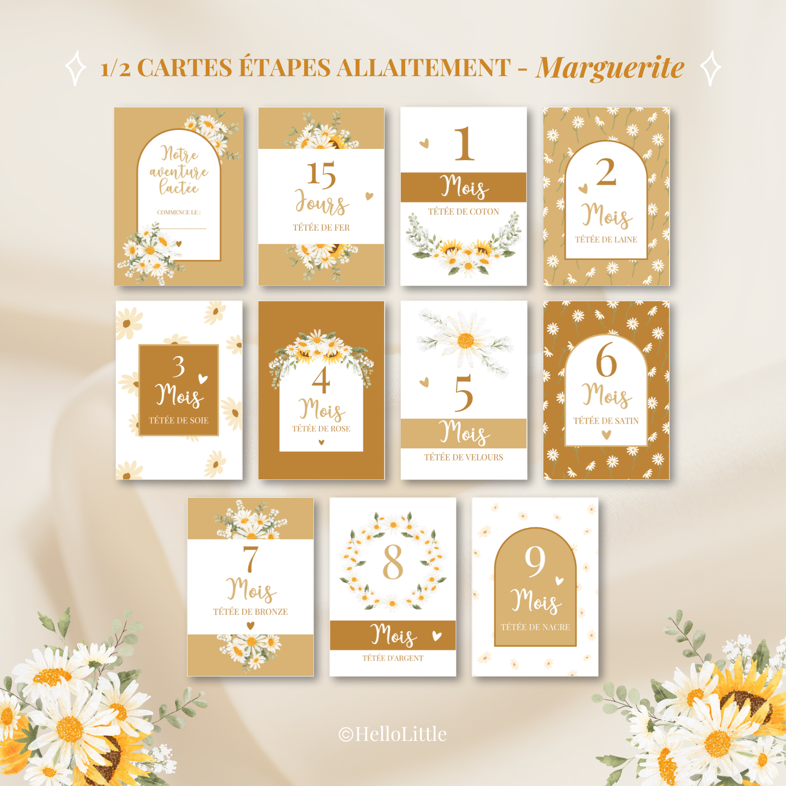 CE allaitement marguerite