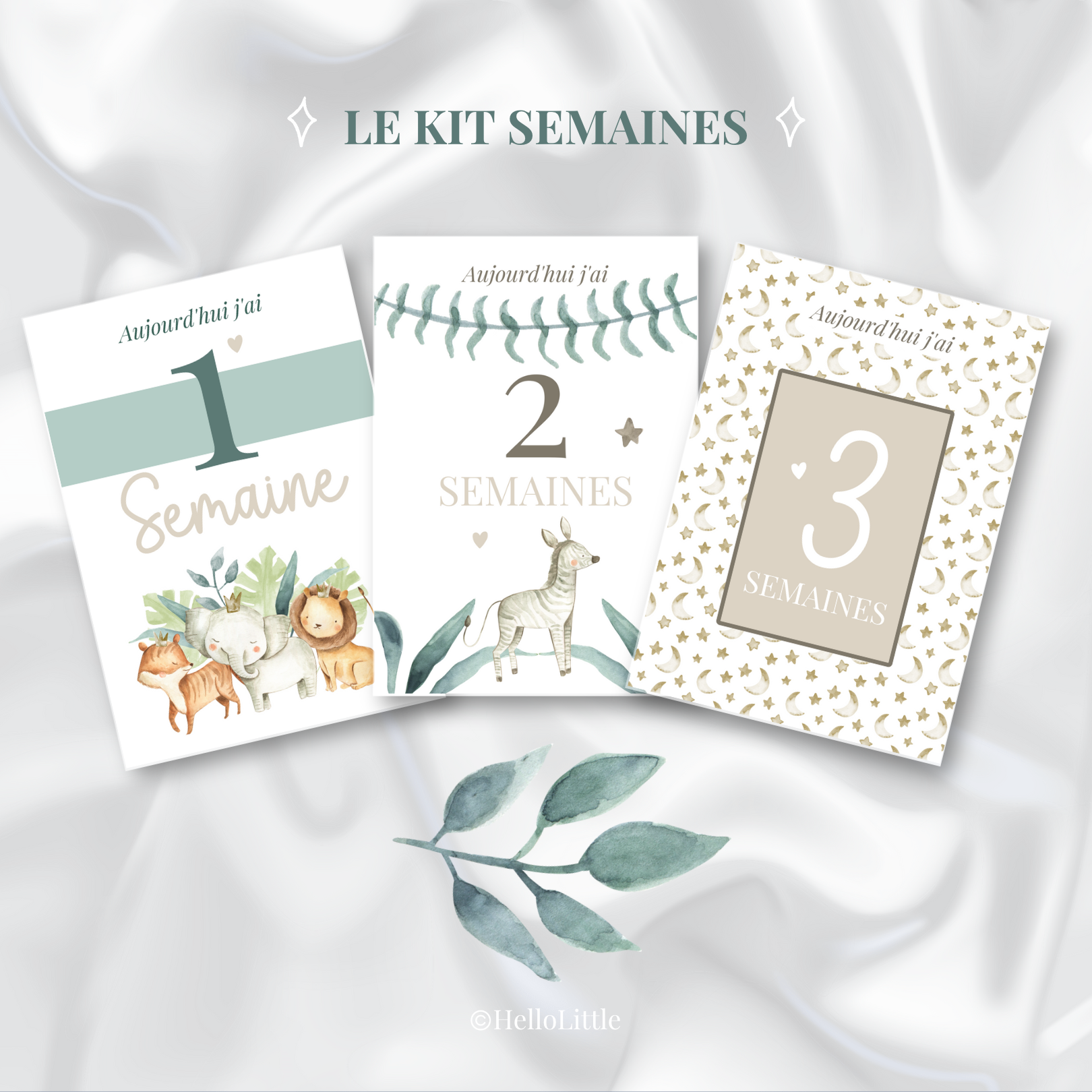 Kit semaines jungle