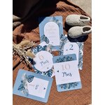 CE allaitement blue tropics