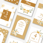 Cartes étapes marguerite
