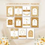 CE allaitement marguerite