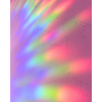 334