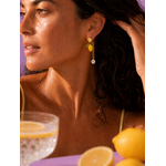 BDO citronnée 6