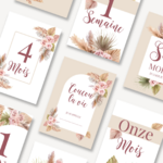 Cartes étapes Bohème pampa