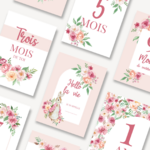 Cartes étapes lapin rose