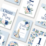 Cartes étapes lapin bleu