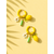 BDO citronnée - 1
