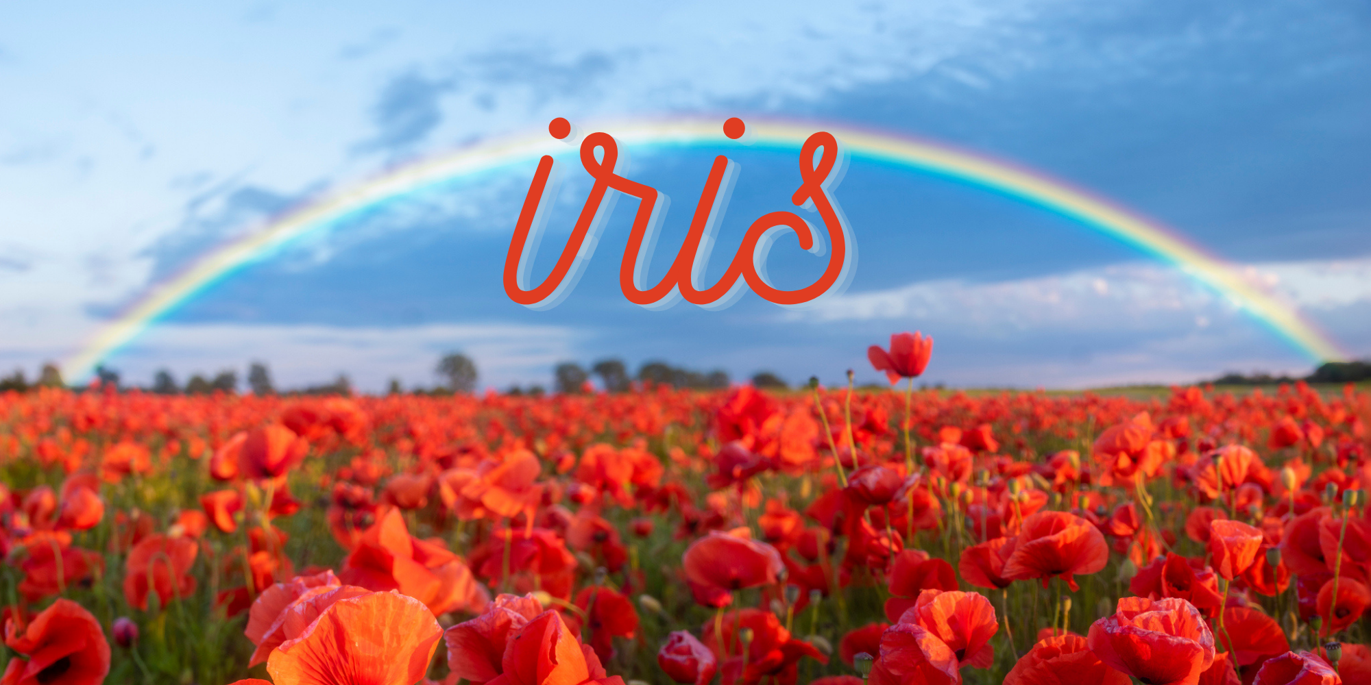 iris sans date