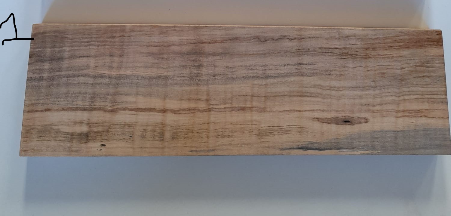 brunch planks erable sycomore bp1