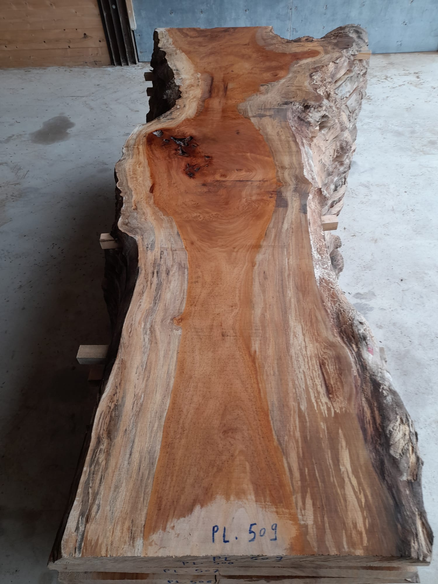 plateau platane live edge pl509