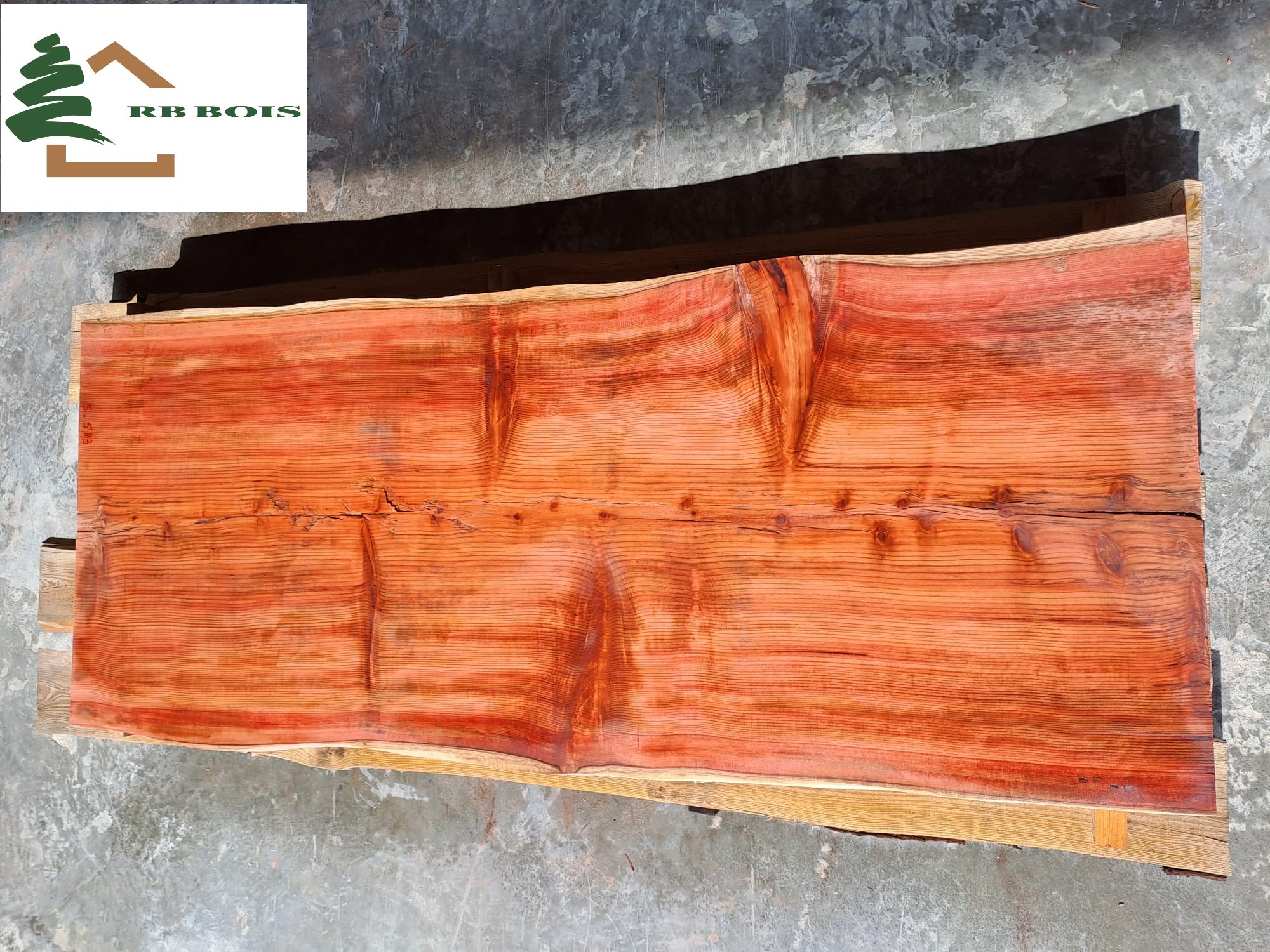 plateau sequoia live edge s583