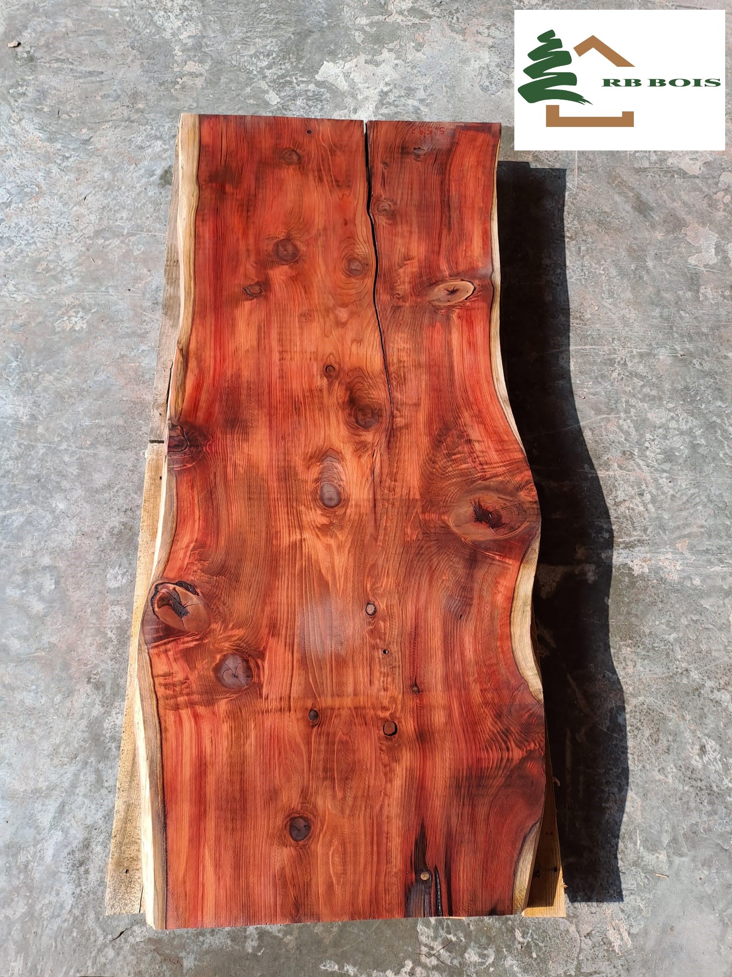 plateau séquoia live edge s593