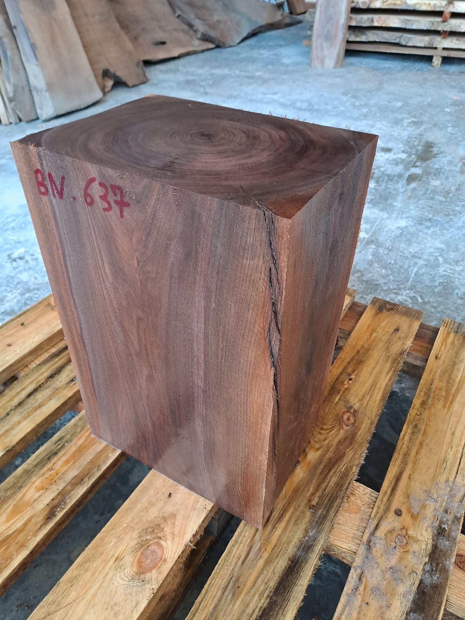 bloc noyer bn637