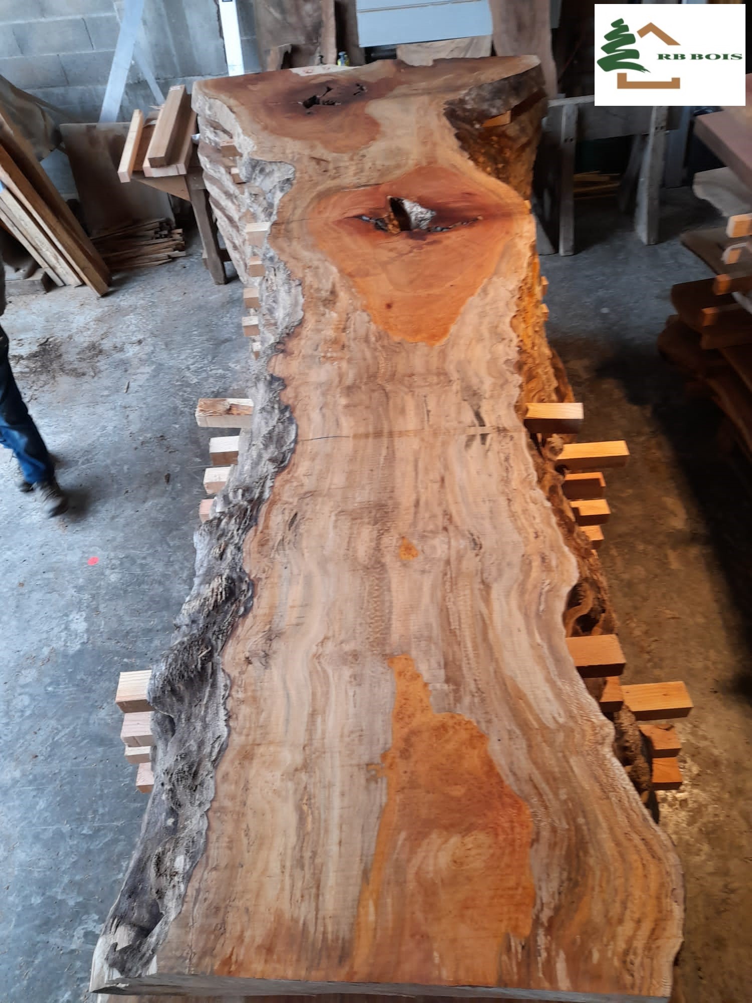 plateau platane live edge PL521 2