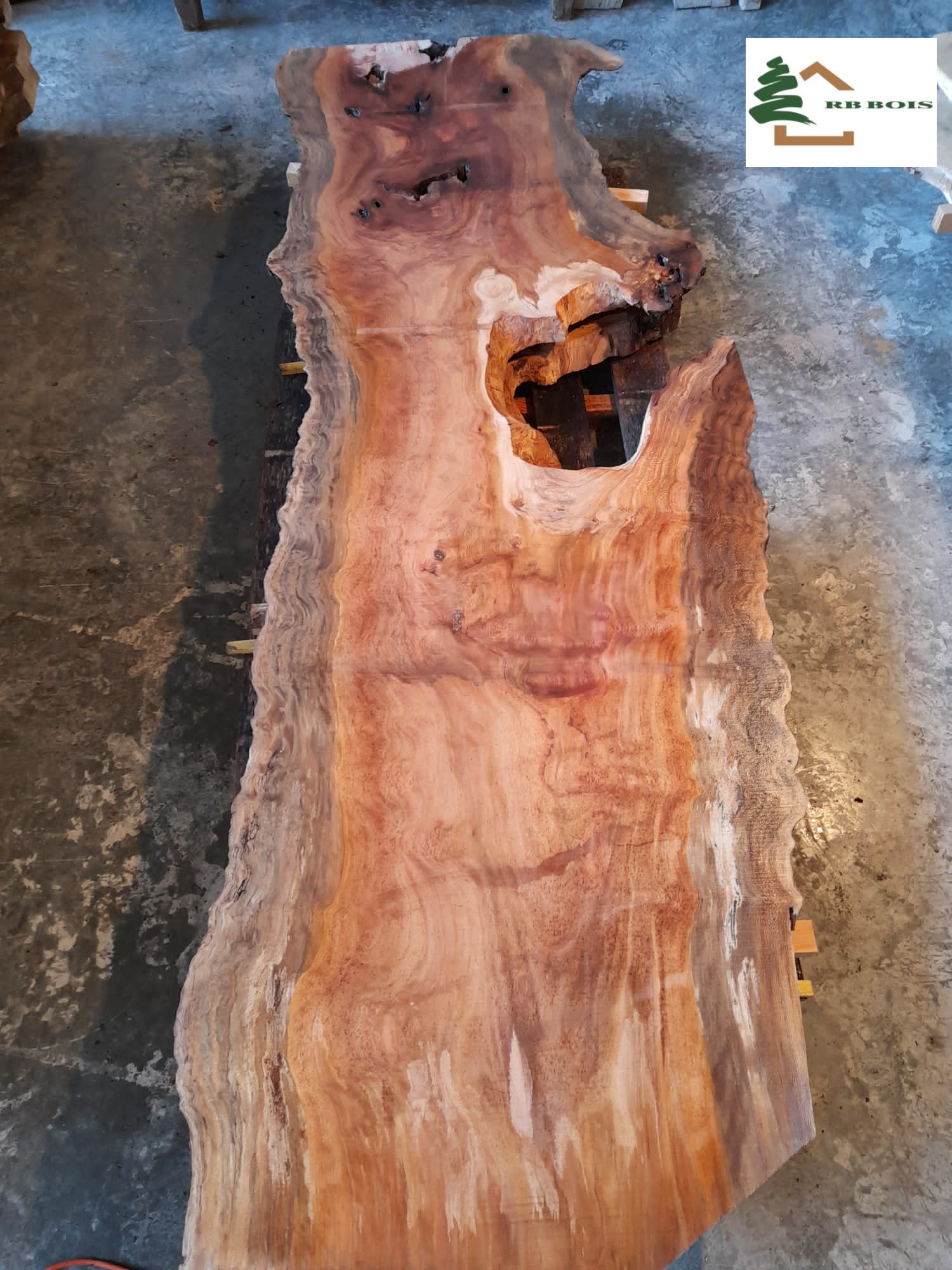 plateau platane live edge PL510 3