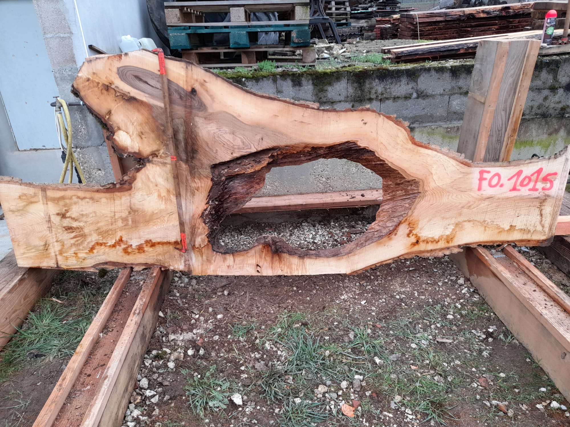 plateau frêne olivier fo1015