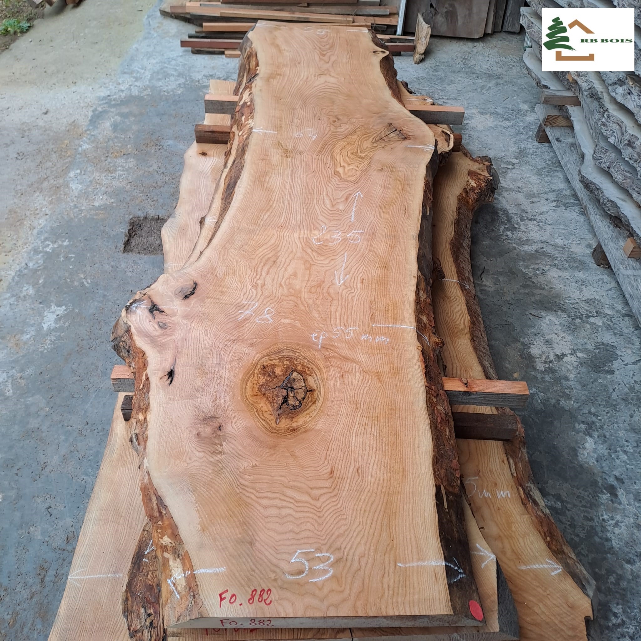 plateau frene olivier fo882