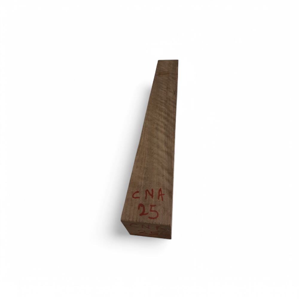 carrelet-noyer-arc-cna25