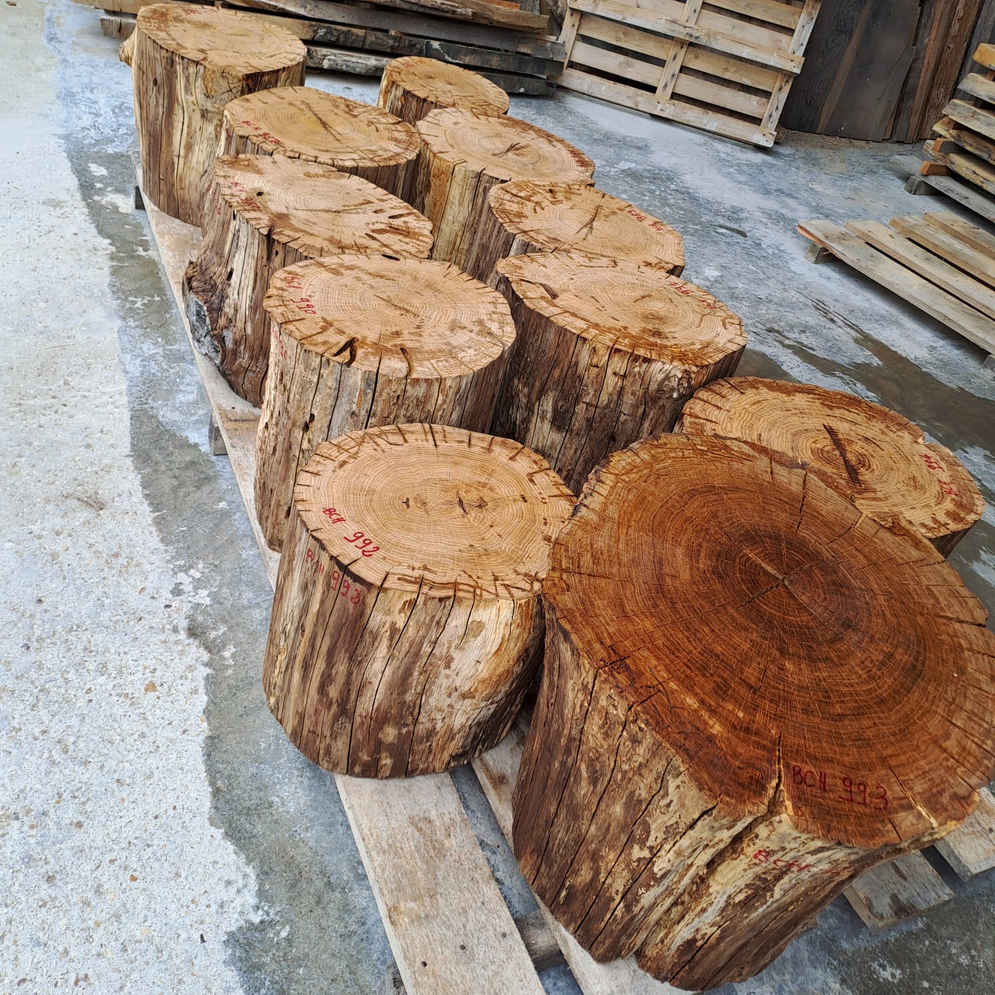 blocs chêne massif