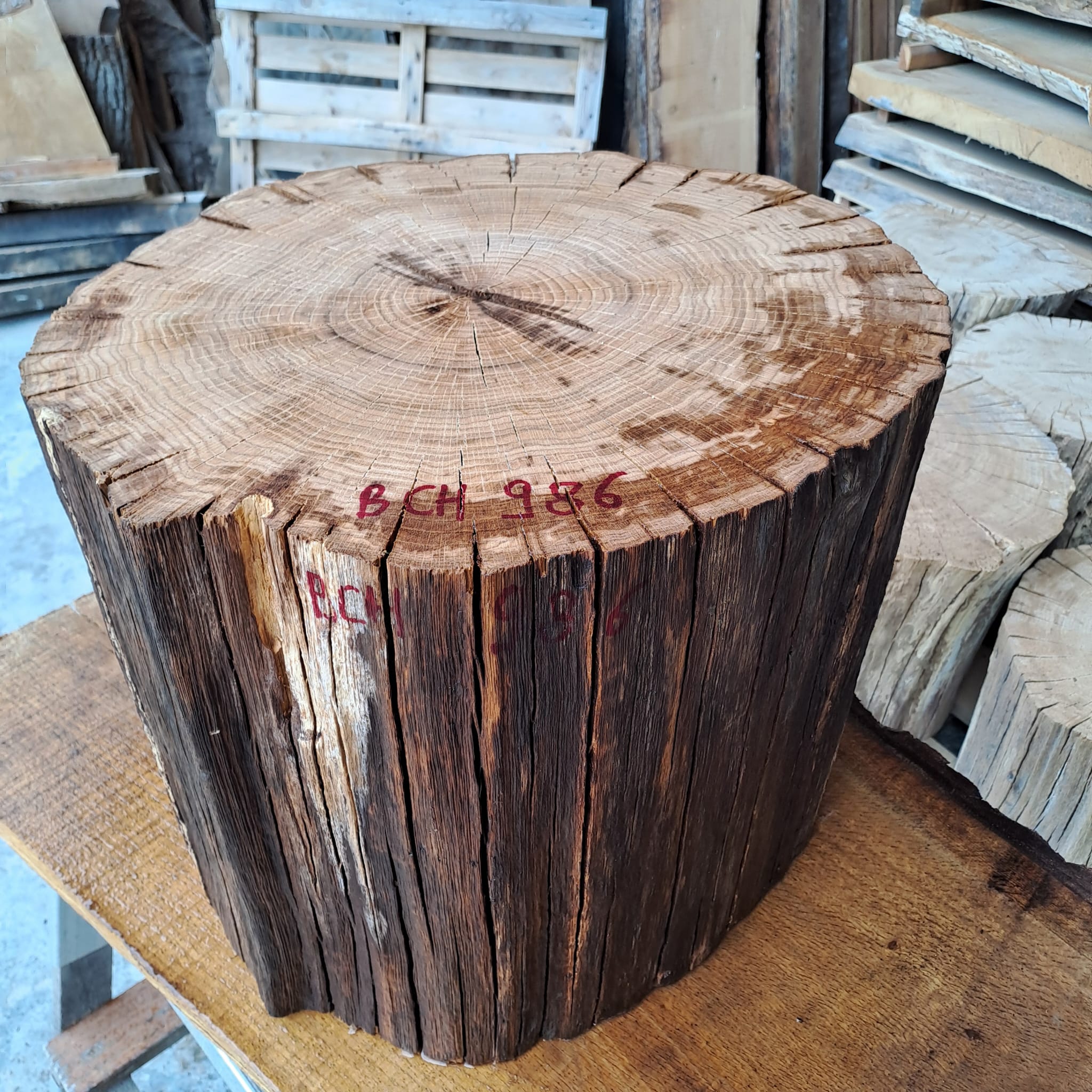bloc chêne BCH 986