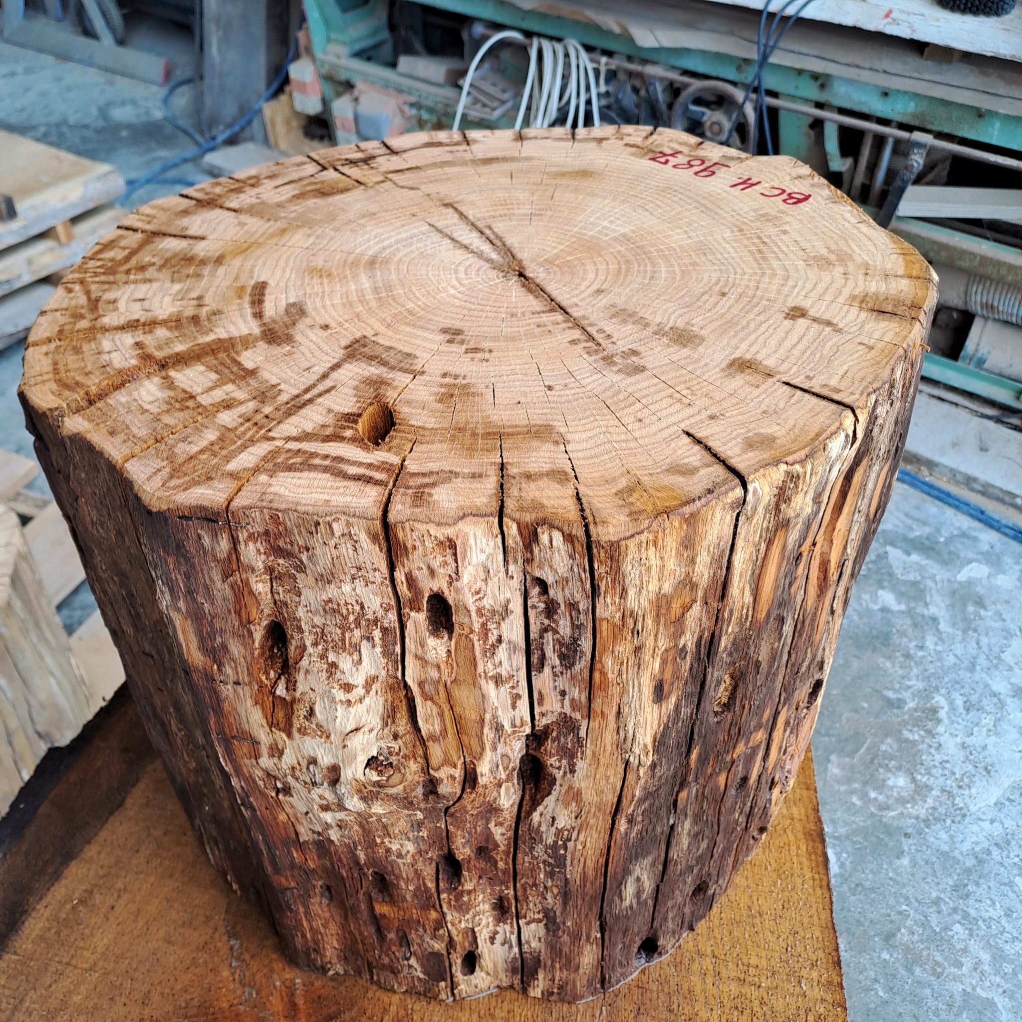 bloc chêne BCH987