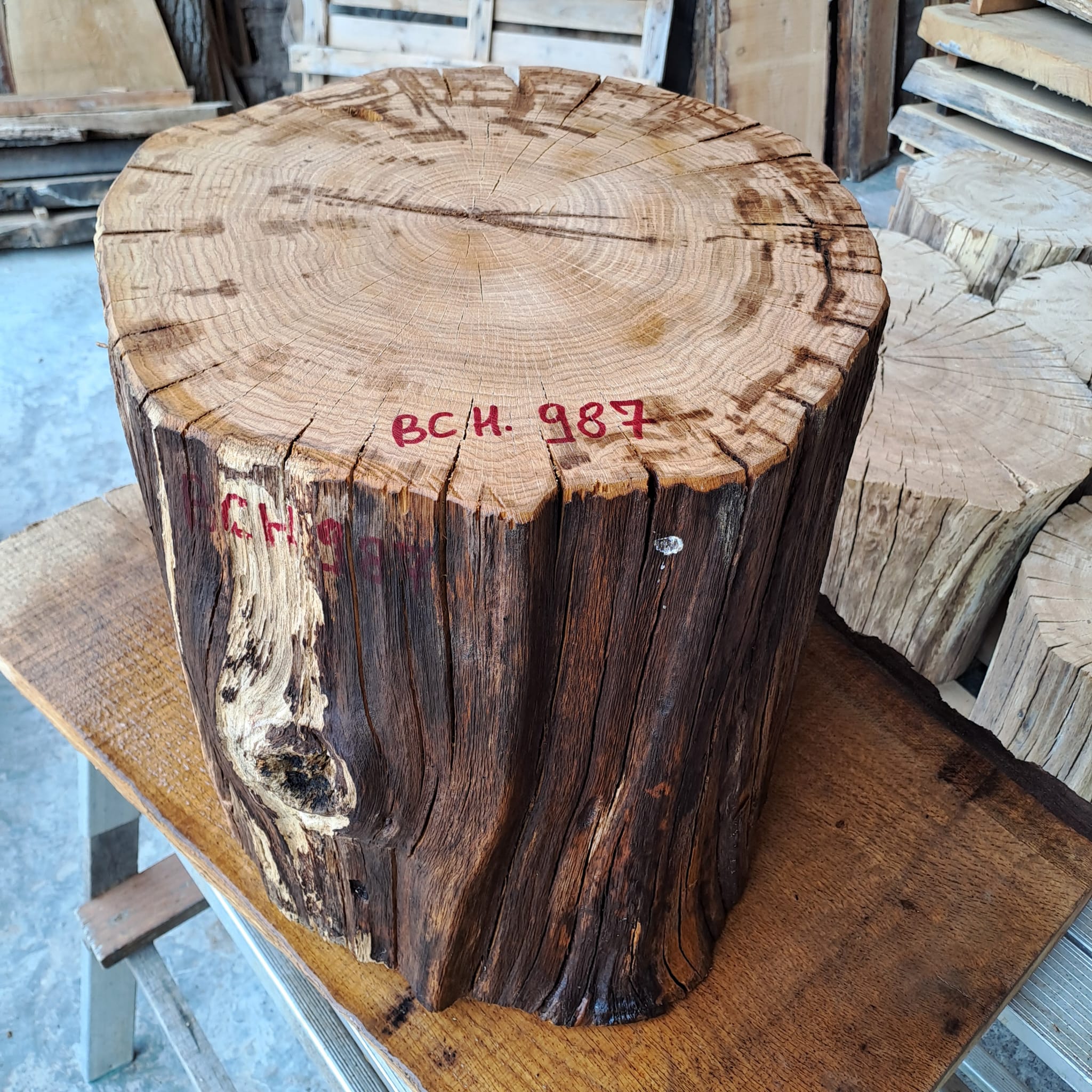BLOC CHENE BCH 987